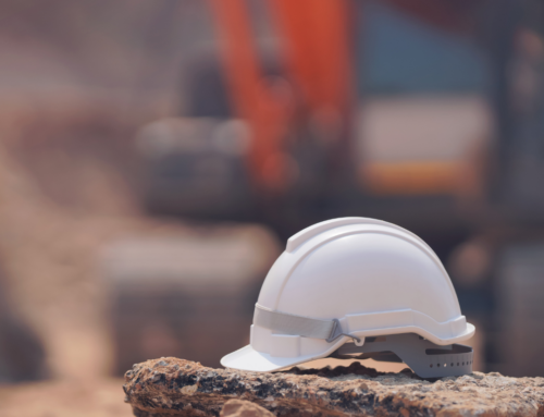 Il DL. 19/24 e la patente a crediti